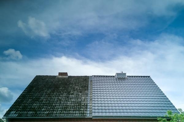 rengøring fredericia algebehandling tagrens facaderens privat